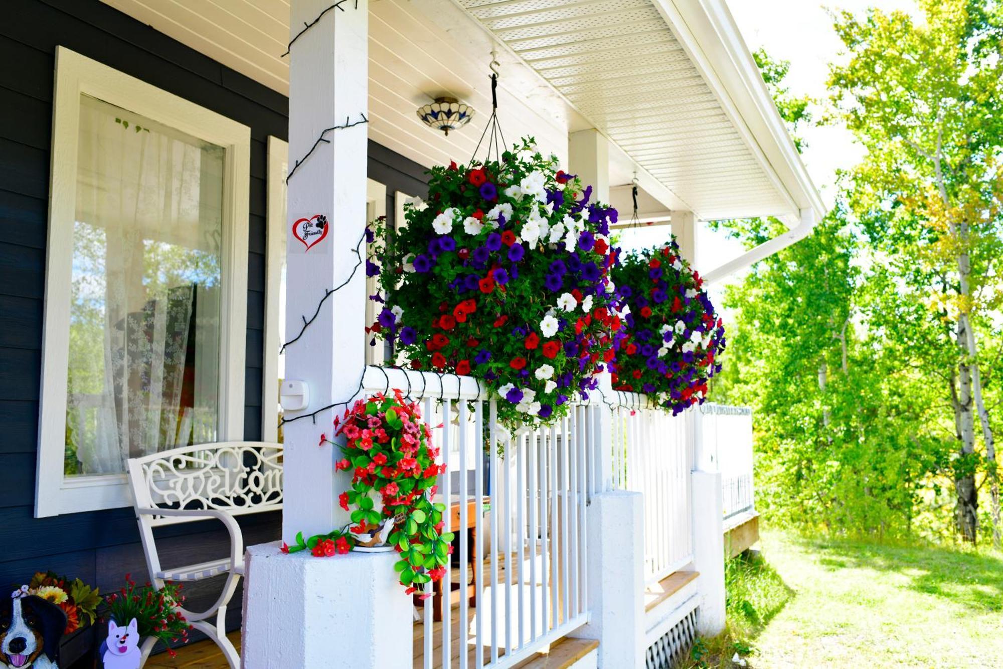 The Blue Cottage B&B Seventy Mile House Exterior foto